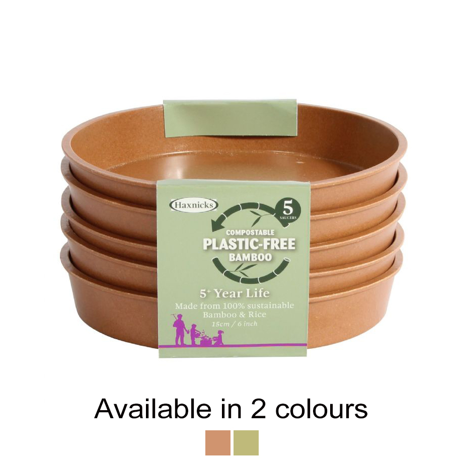 Haxnicks 6 Inch Bamboo Saucer x 5