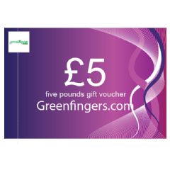 £5 Gift Voucher