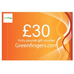 £30 Gift Voucher
