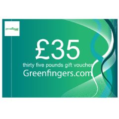 £35 Gift Voucher