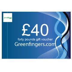 £40 Gift Voucher