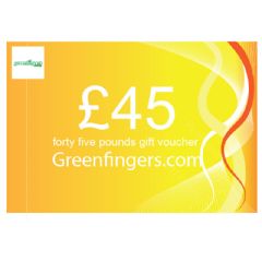£45 Gift Voucher