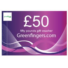 £50 Gift Voucher