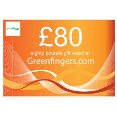 £80 Gift Voucher