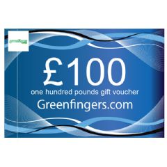 £100 Gift Voucher
