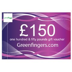 £150 Gift Voucher