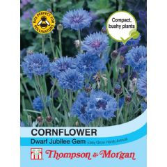 Thompson and Morgan Cornflower Dwarf Jubilee Gem - 200 seeds