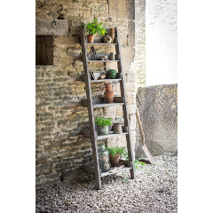 Garden Trading Aldsworth Shelf Ladder - Small