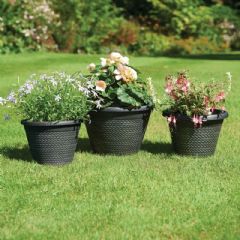 Wicker Effect Planters - Pack of 3
