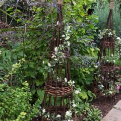 Forest Garden Concentric Willow Obelisk - Pack of Two