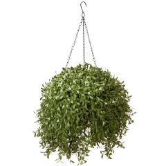 Norfolk Leisure Argentea Plant Hanging Basket - 18