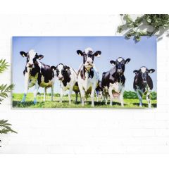 La Hacienda Inquisitive Cows Outdoor Canvas