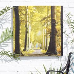 La Hacienda Woodland Path Outdoor Canvas
