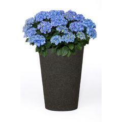iQbana Vasaluce Planter - Black