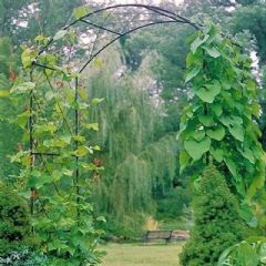 Poppyforge Monet Arch