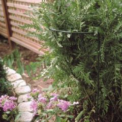 Poppyforge Border Plant Support