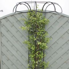 Poppyforge Wall Fixing Tuteur