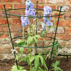 Poppyforge Large Peony Plant Support - Green