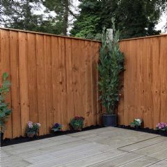 Mercia Feather Edge Panel - Pressure Treated