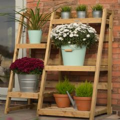 Forest Garden Plant Ladder Display