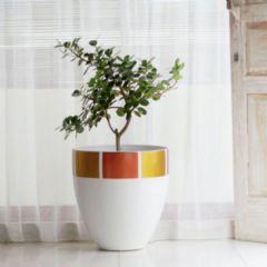 Satu Bumi White Base Copper and Gold Rim Designer Planter