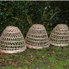 Chairworks Bamboo Plant Covers - Set of 3 - W55cm x D55cm x H38cm