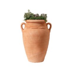 Graf Antique Planter - Terracotta