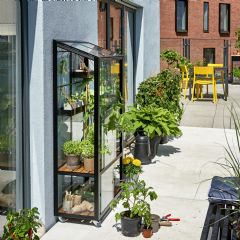 Juliana City Greenhouse