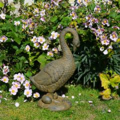 Europa Leisure Goose Statue - H60cm