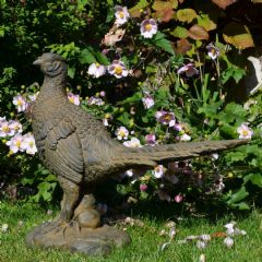 Solstice Sculptures Pheasant - 49cm - Rust Effect