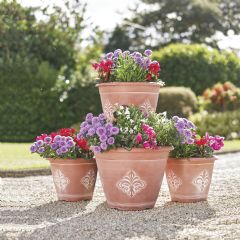 Greenhurst Set of 4 Fleur-De-Lys Planters - Terracotta