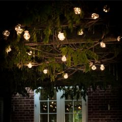 Garden Trading Festoon Lights - Classic - 20 Bulbs