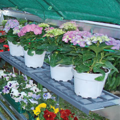 Palram Greenhouse Shelving