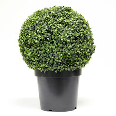 Cadix Buxus Topiary Ball