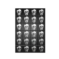 Ellister Valentina Mirrored Skull Print Wall Art