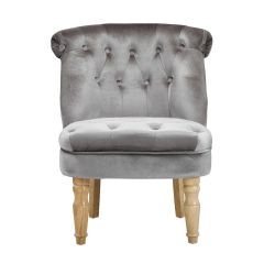 Ellister Charlotte Boudoir Plush Velvet Chair - Silver