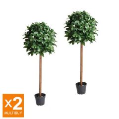 Gardman Artificial Bay Tree - 2 Pack Multi Buy