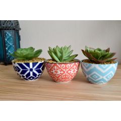 Candlelight Hand Painted Pots With Succulent - Set of 3