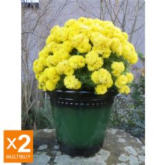Iberian Planters - Green - 40cm - x2 Multi-Buy
