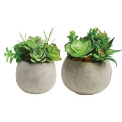 Gardman Artificial Potted Succulents - Set of 2