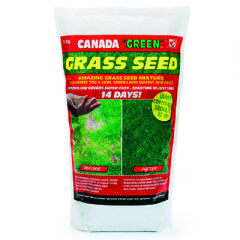 Canada Green Grass Seed 1kg