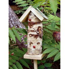 Ladybird Tower House