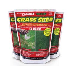Canada Green 500g Seed