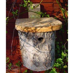 FSC Silver Birch Blue Tit Bird Nest Box
