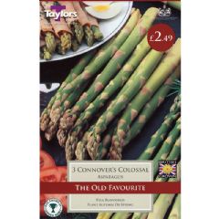 Asparagus Connovers Colossal - 3 crowns