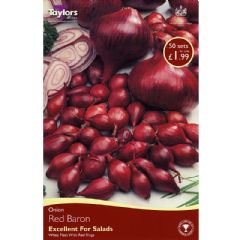 Spring Bulbs - Onion Red Baron