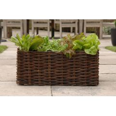 Burgon & Ball Natural Willow Salad Planter