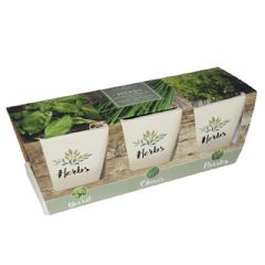 Taylors Windowsill Herb Pots