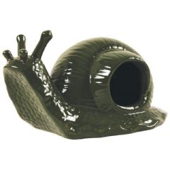 Fallen Fruits Slug Trap Snail