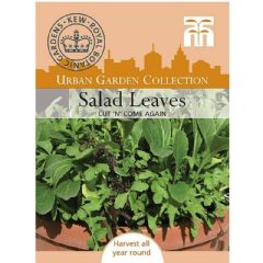 Thompson and Morgan Cut n Come Again Salad Leaves - 250 seeds